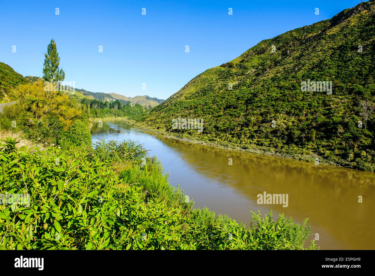 View over the Whanganui River in the lush green countryside, Whanganui