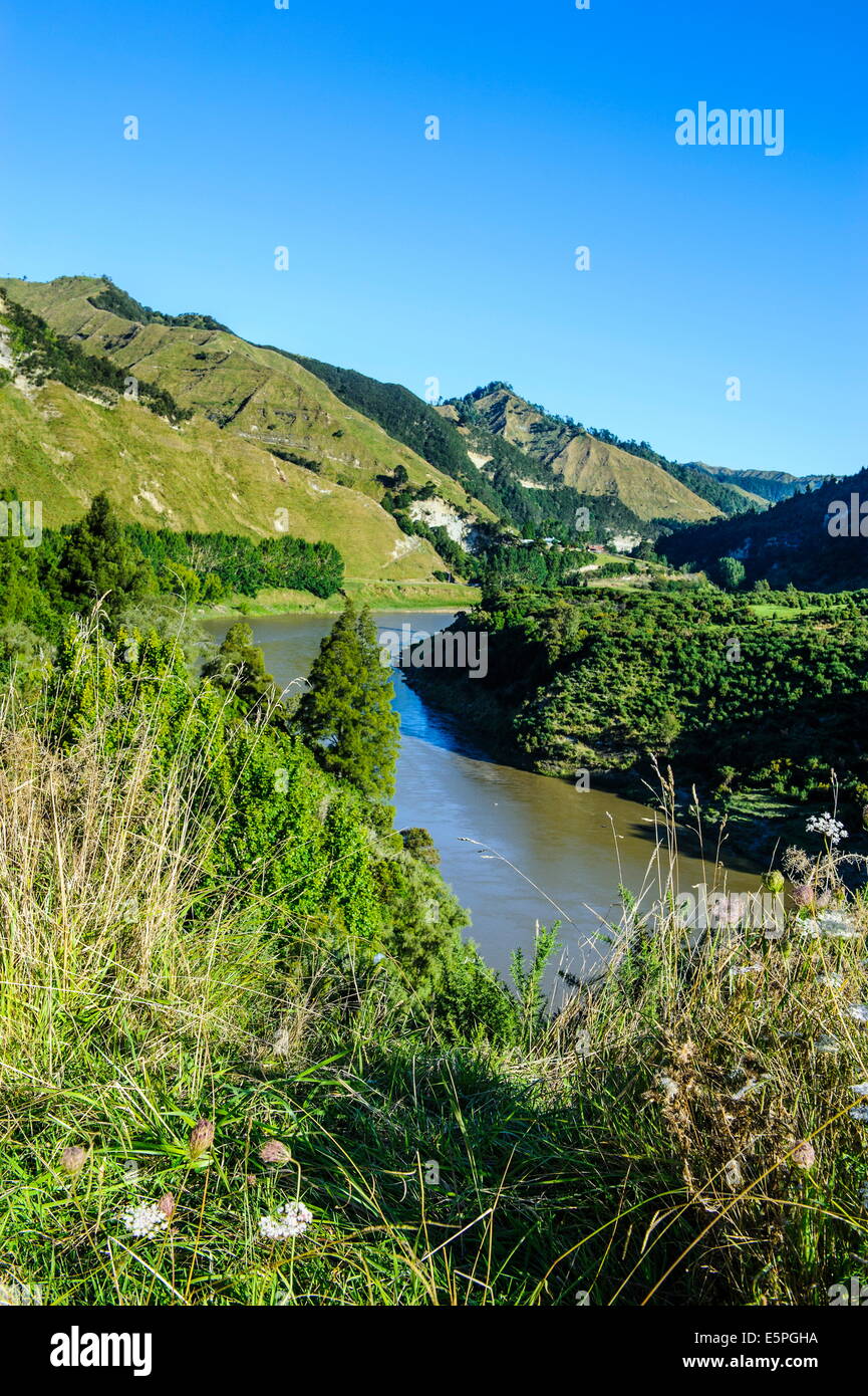 View over the Whanganui River in the lush green countryside, Whanganui