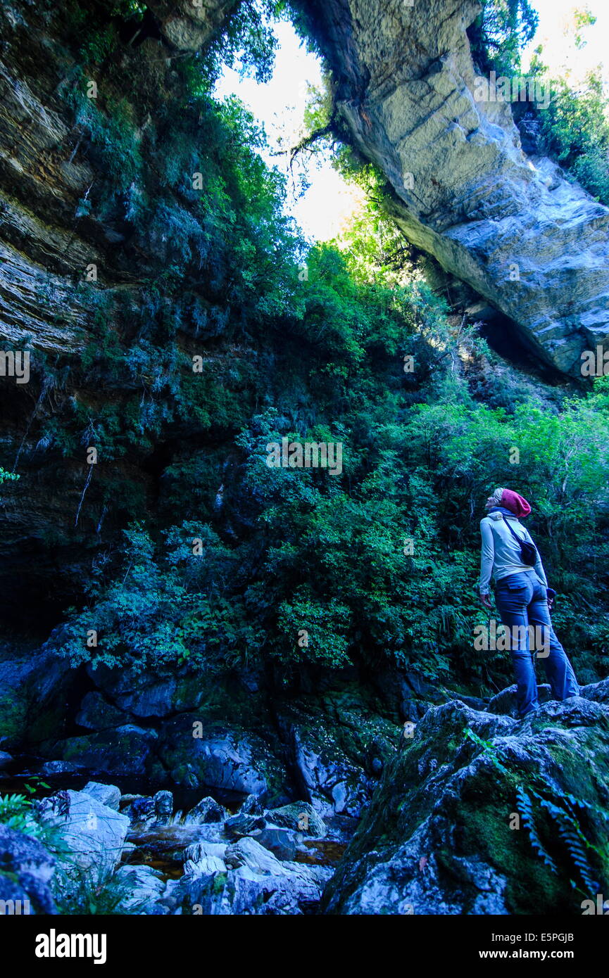 Woman looking at the stunning Oparara Arch in the Oparara Basin, Karamea, West Coast, South Island, New Zealand, Pacific Stock Photo