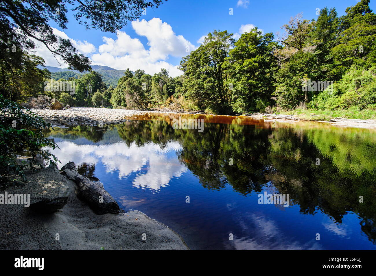 Trees reflecting in the water, Mirror Tarn, Oparara Basin, Karamea, West Coast, South Island, New Zealand, Pacific Stock Photo