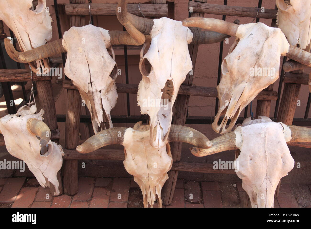 Steer skulls for sale, Santa Fe, New Mexico, United States of America, North America Stock Photo