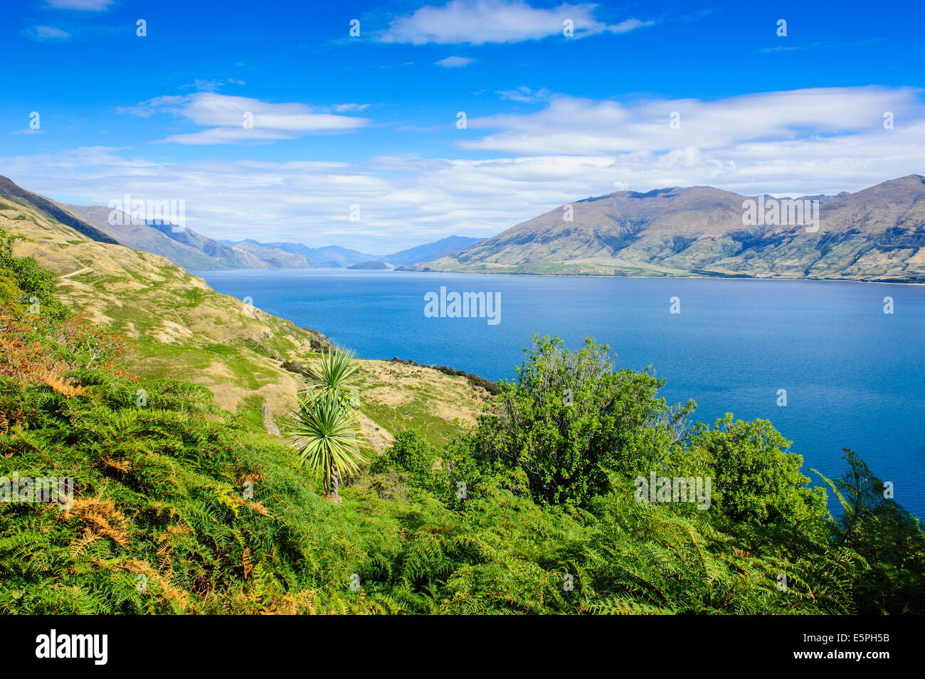 Lake Hawea, Haast Pass, South Island, New Zealand, Pacific Stock Photo