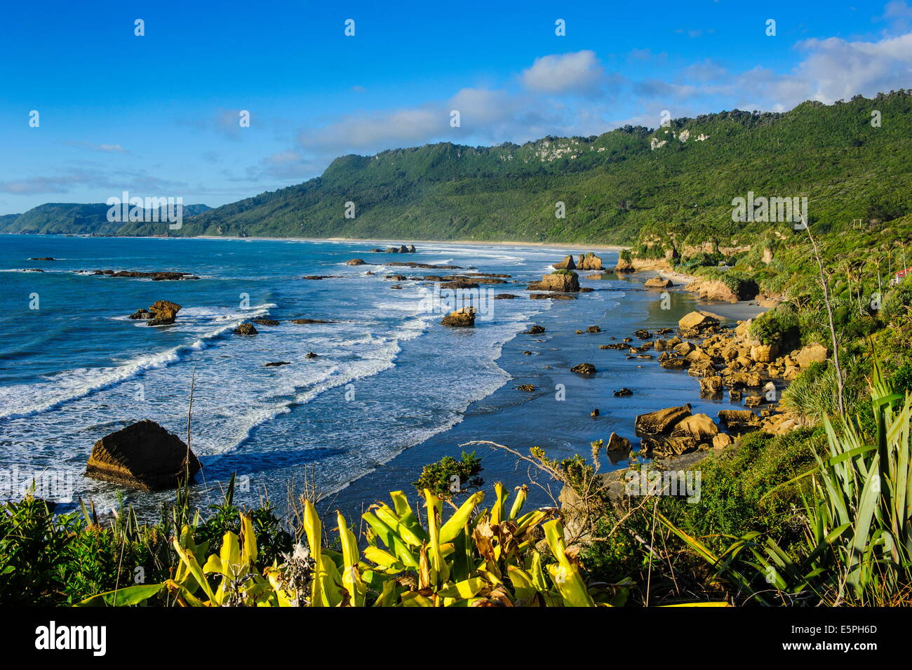 The untouched west coast of South Island between Greymouth and Westport, West Coast, South Island, New Zealand, Pacific Stock Photo