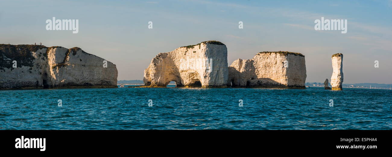Chalk stacks and cliffs at Old Harry Rocks, between Swanage and Purbeck, Dorset, Jurassic Coast, UNESCO Site, England, UK Stock Photo