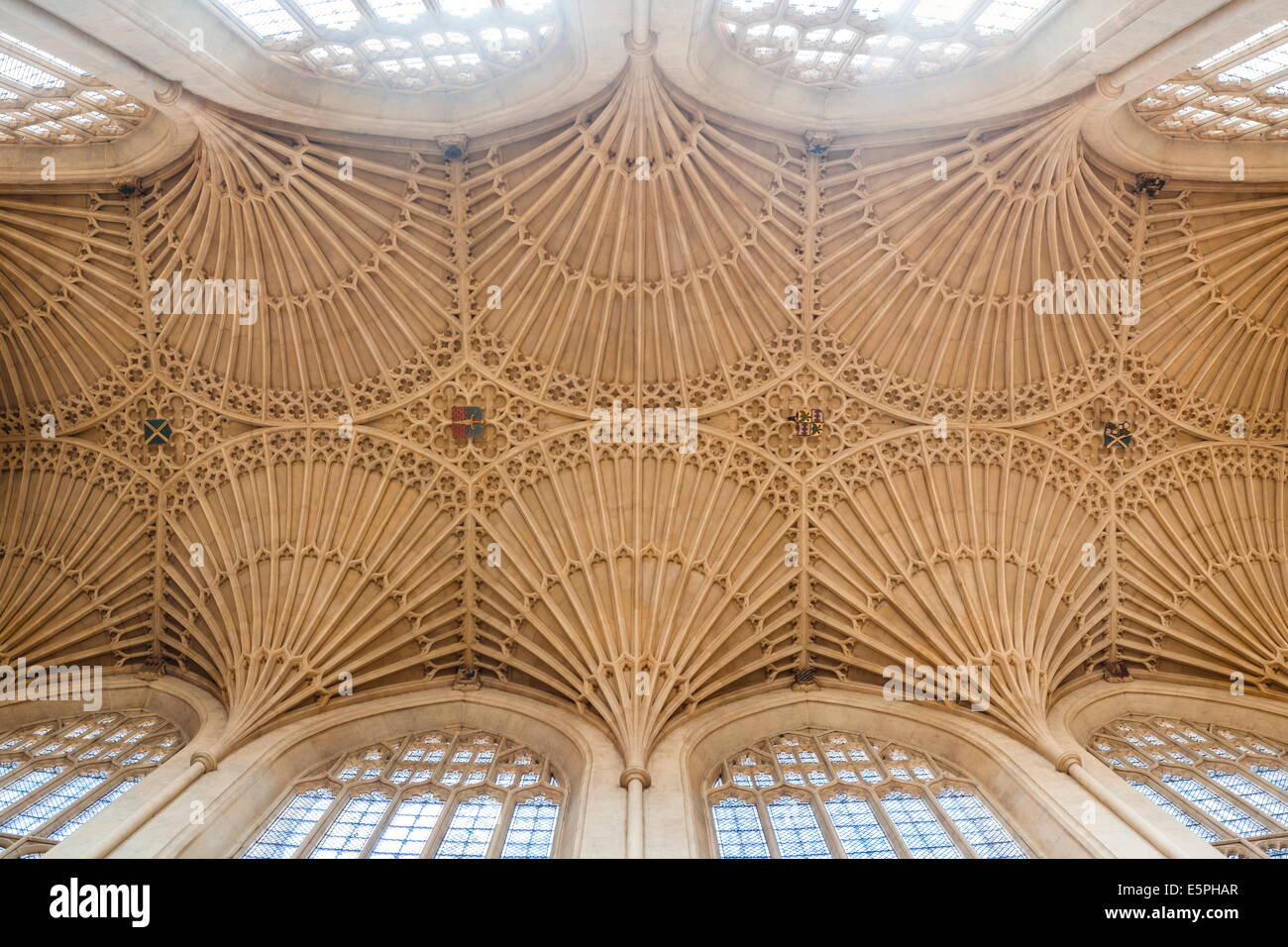 Bath Abbey ceiling, Bath, UNESCO World Heritage Site, Avon and Somerset, England, United Kingdom, Europe Stock Photo