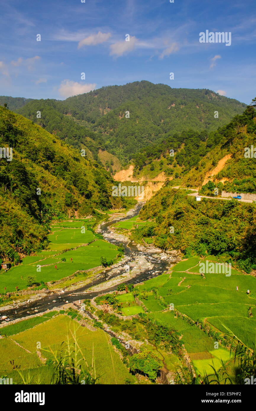 Along the rice terraces from Bontoc to Banaue, Luzon, Philippines ...