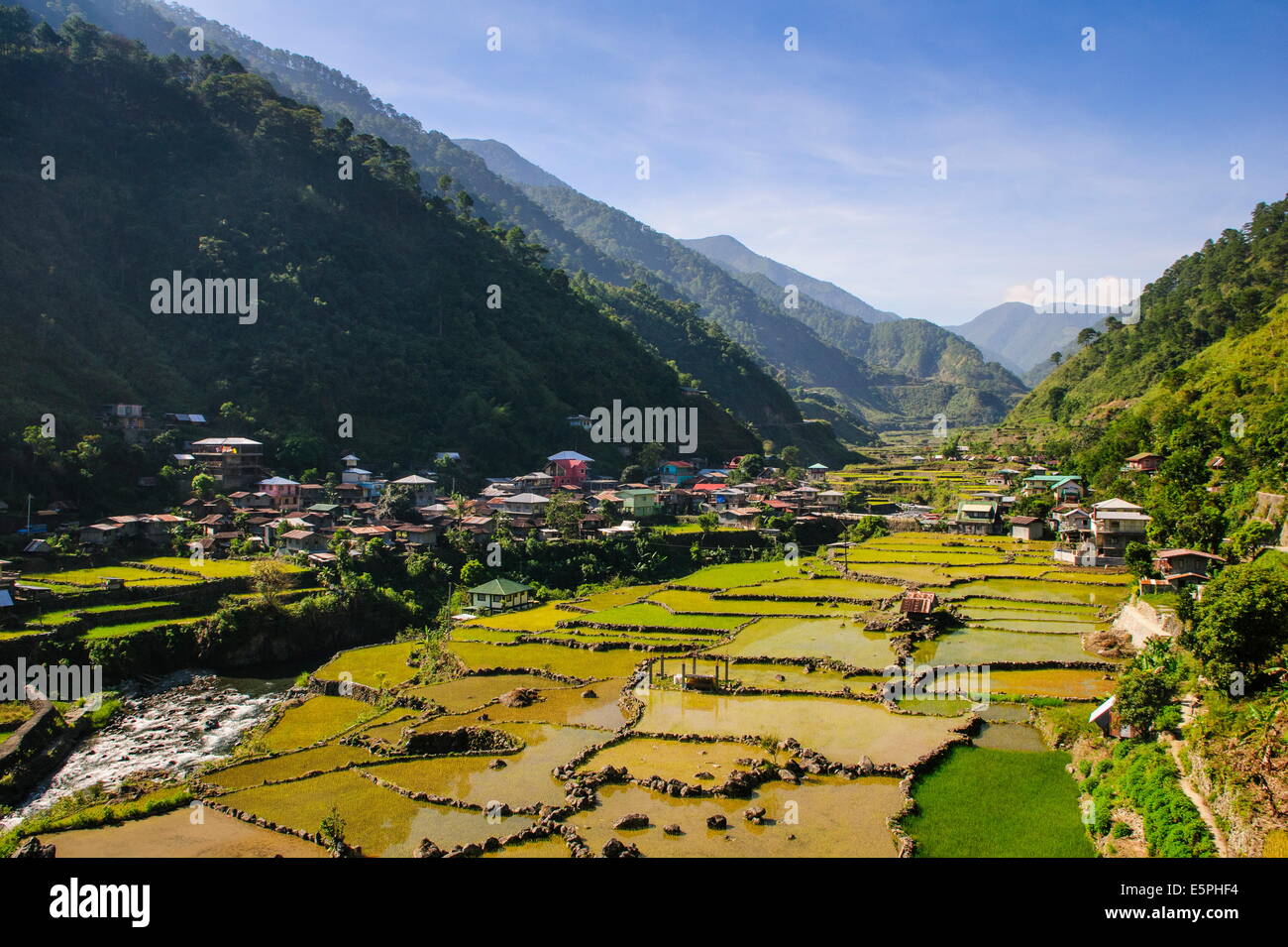 Along the rice terraces from Bontoc to Banaue, Luzon, Philippines ...