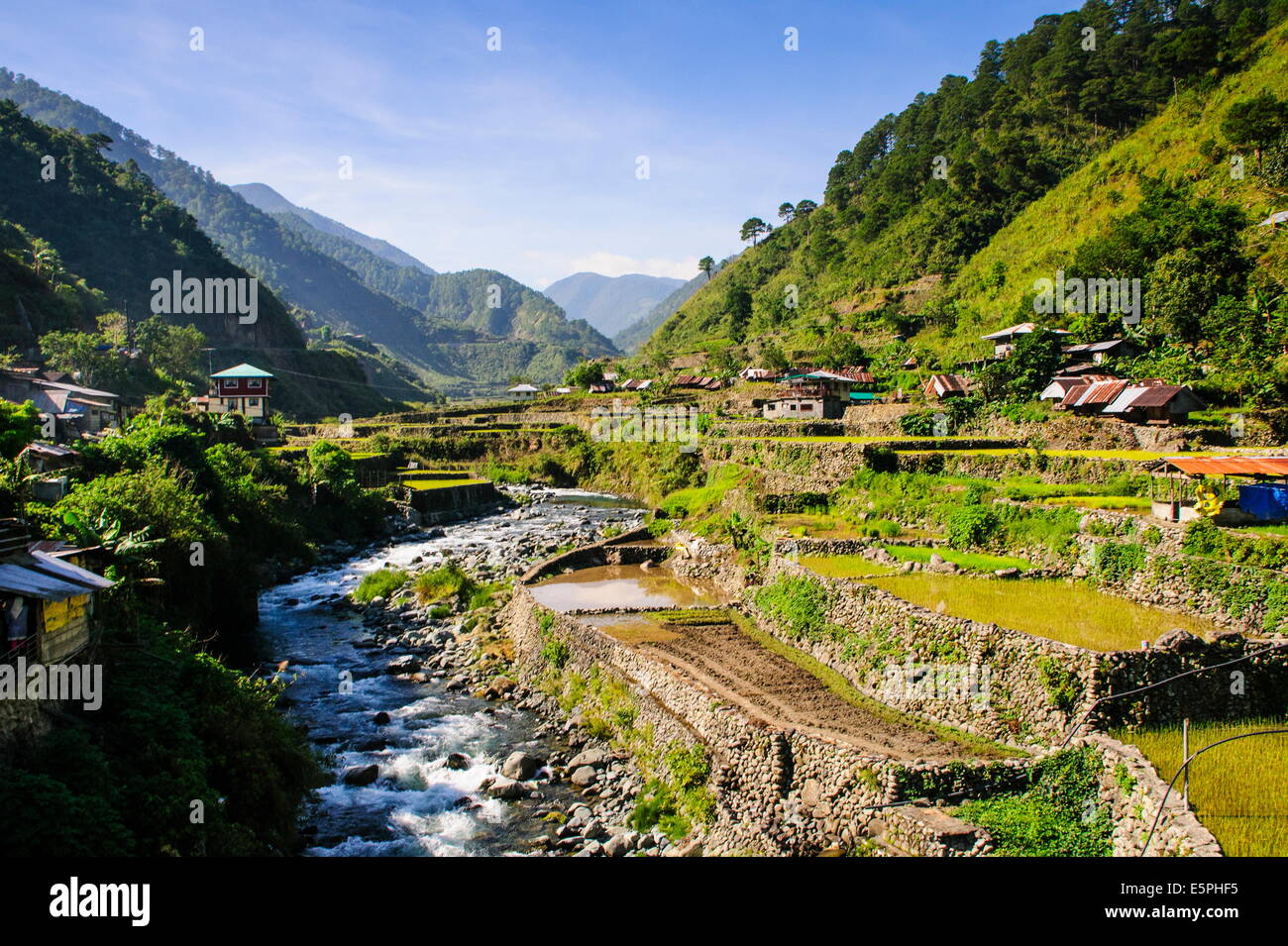 Along the rice terraces from Bontoc to Banaue, Luzon, Philippines ...