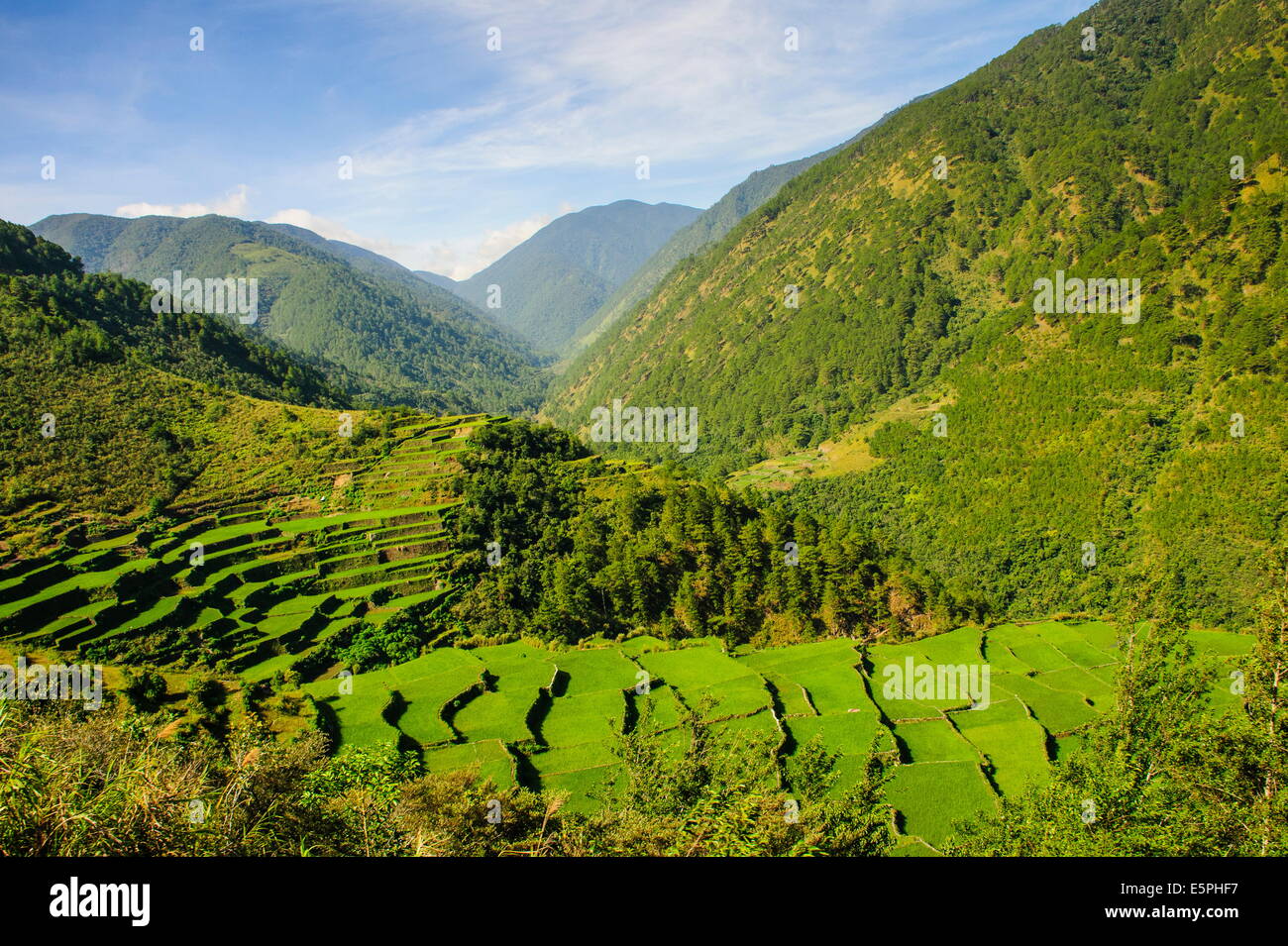 Along the rice terraces from Bontoc to Banaue, Luzon, Philippines ...