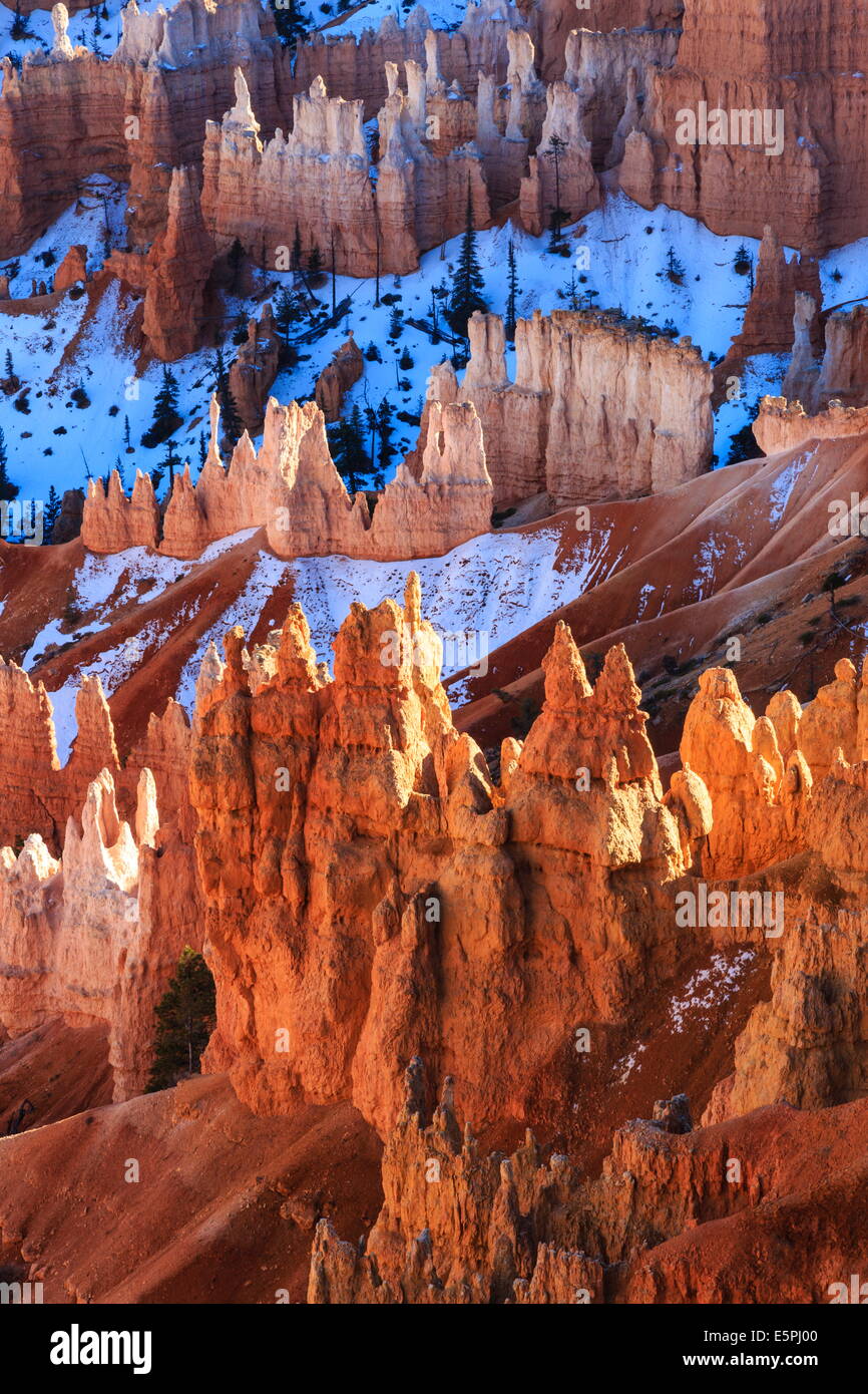 Hoodoos and snow lit by strong late afternoon sun in winter, near Sunrise Point, Bryce Canyon National Park, Utah, USA Stock Photo