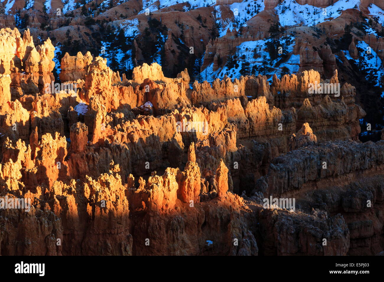 Hoodoos lit by late afternoon sun with snowy backdrop, from Rim Trail near Sunset Point, Bryce Canyon National Park, Utah, USA Stock Photo