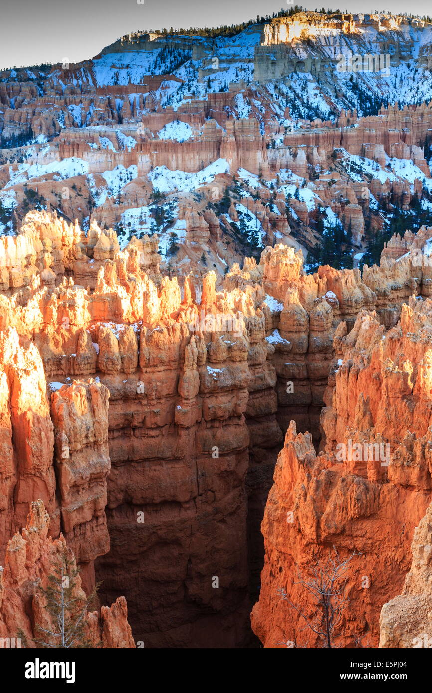 Hoodoos lit by late afternoon sun with snow, from Rim Trail near Sunset Point, Bryce Canyon National Park, Utah, USA Stock Photo