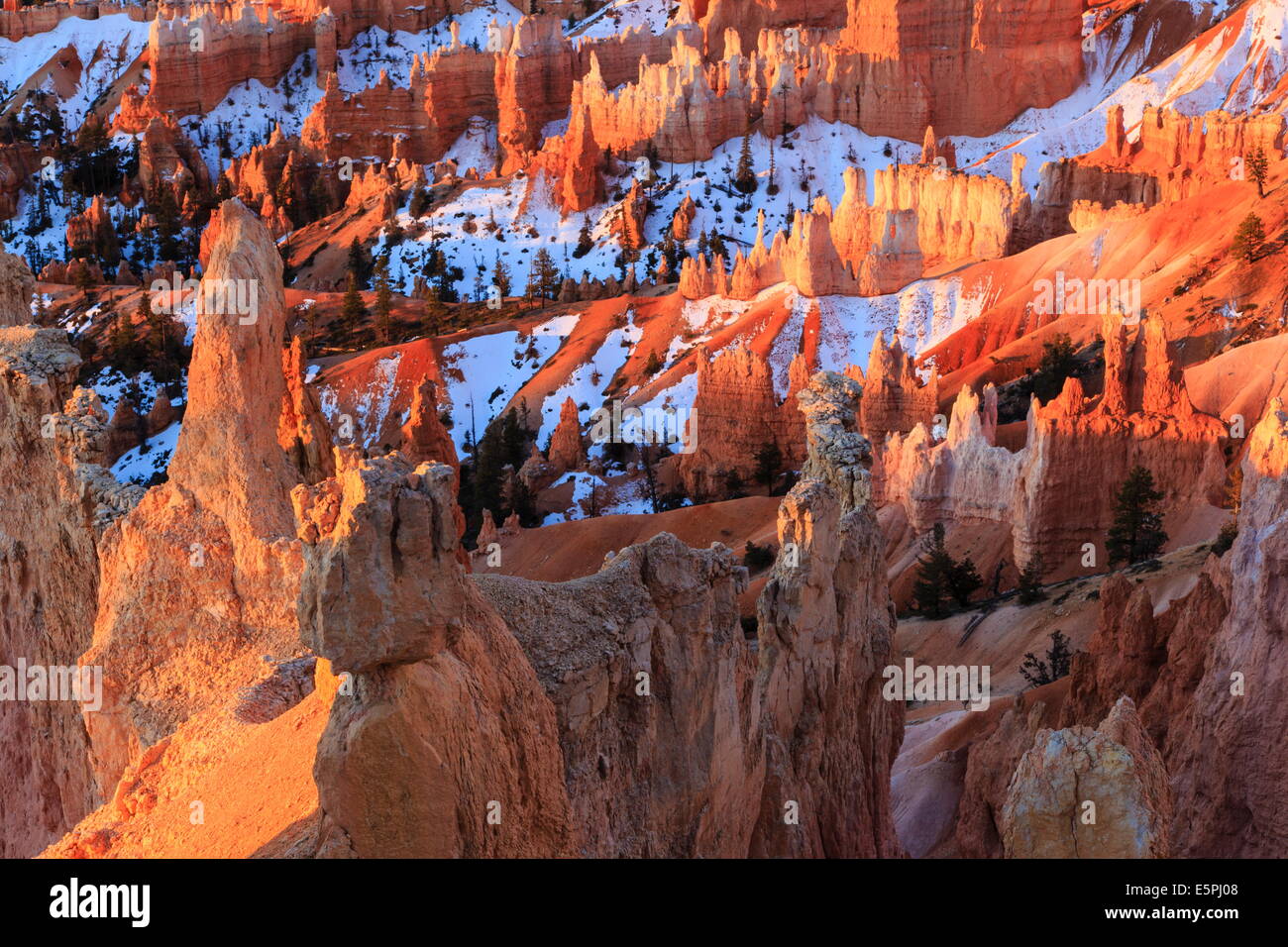 Hoodoos and snow lit by strong dawn light, Queen's Garden Trail at Sunrise Point, Bryce Canyon National Park, Utah, USA Stock Photo