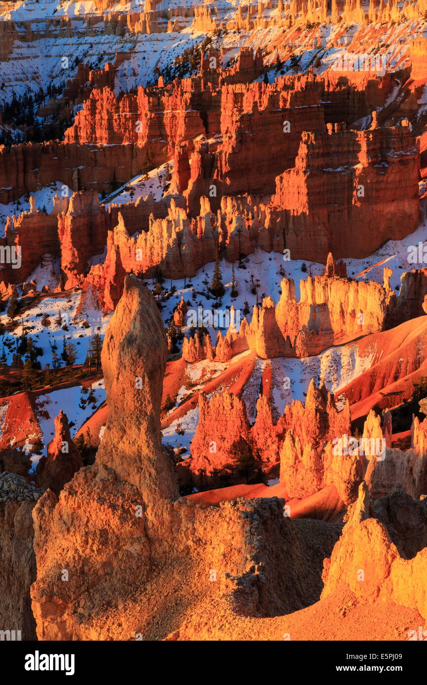 Hoodoos and snow lit by strong dawn light, Queen's Garden Trail at Sunrise Point, Bryce Canyon National Park, Utah, USA Stock Photo