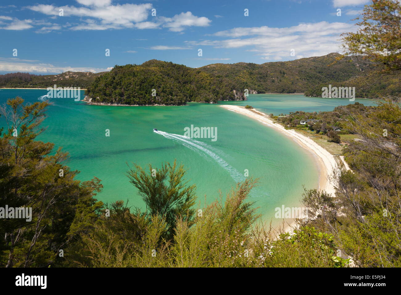 Torrent Bay, Abel Tasman National Park, Nelson region, South Island, New Zealand, Pacific Stock Photo