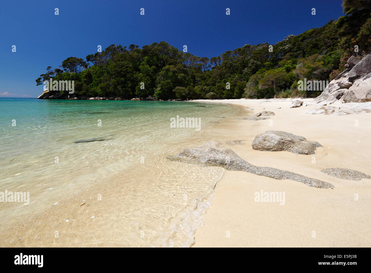 Frenchman's Bay beach, Abel Tasman National Park, Nelson region, South Island, New Zealand, Pacific Stock Photo