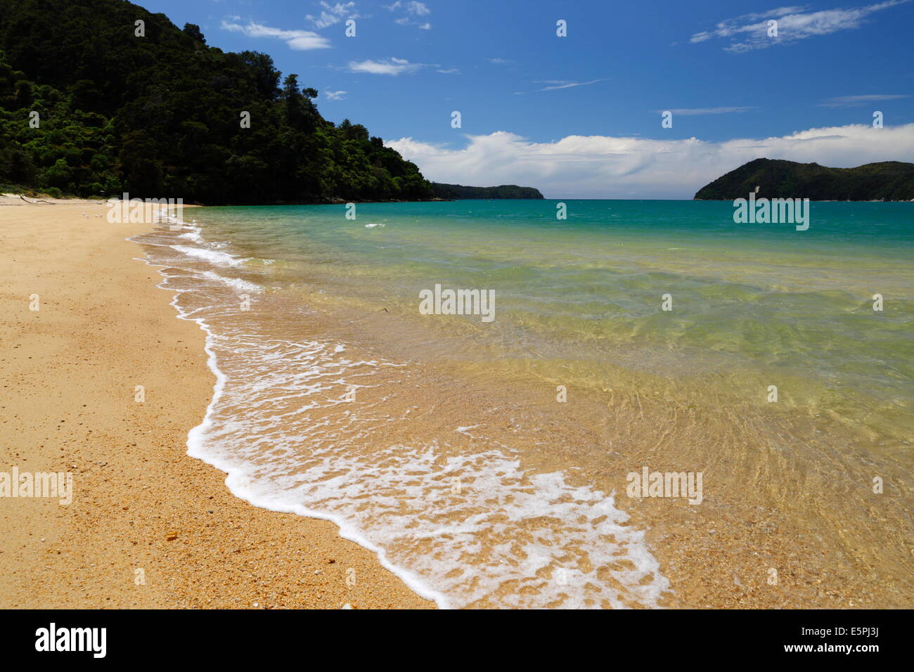 Apple Tree Bay beach, Abel Tasman National Park, Nelson region, South Island, New Zealand, Pacific Stock Photo