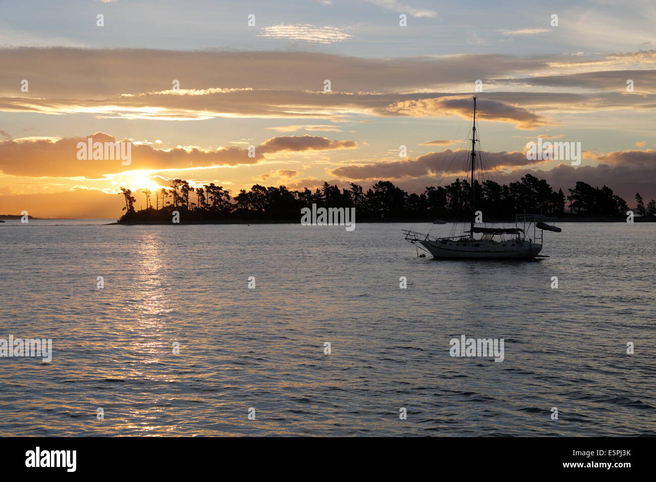 Sunset over Haulashore Island, Nelson, Nelson region, South Island, New Zealand, Pacific Stock Photo