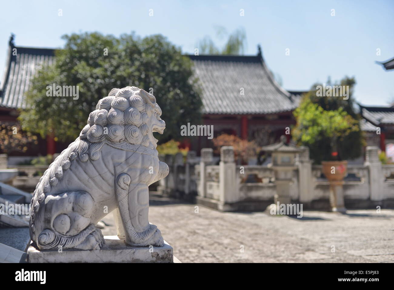 Stone lion in Mufu area, Lijiang, Yunnan, China, Asia Stock Photo