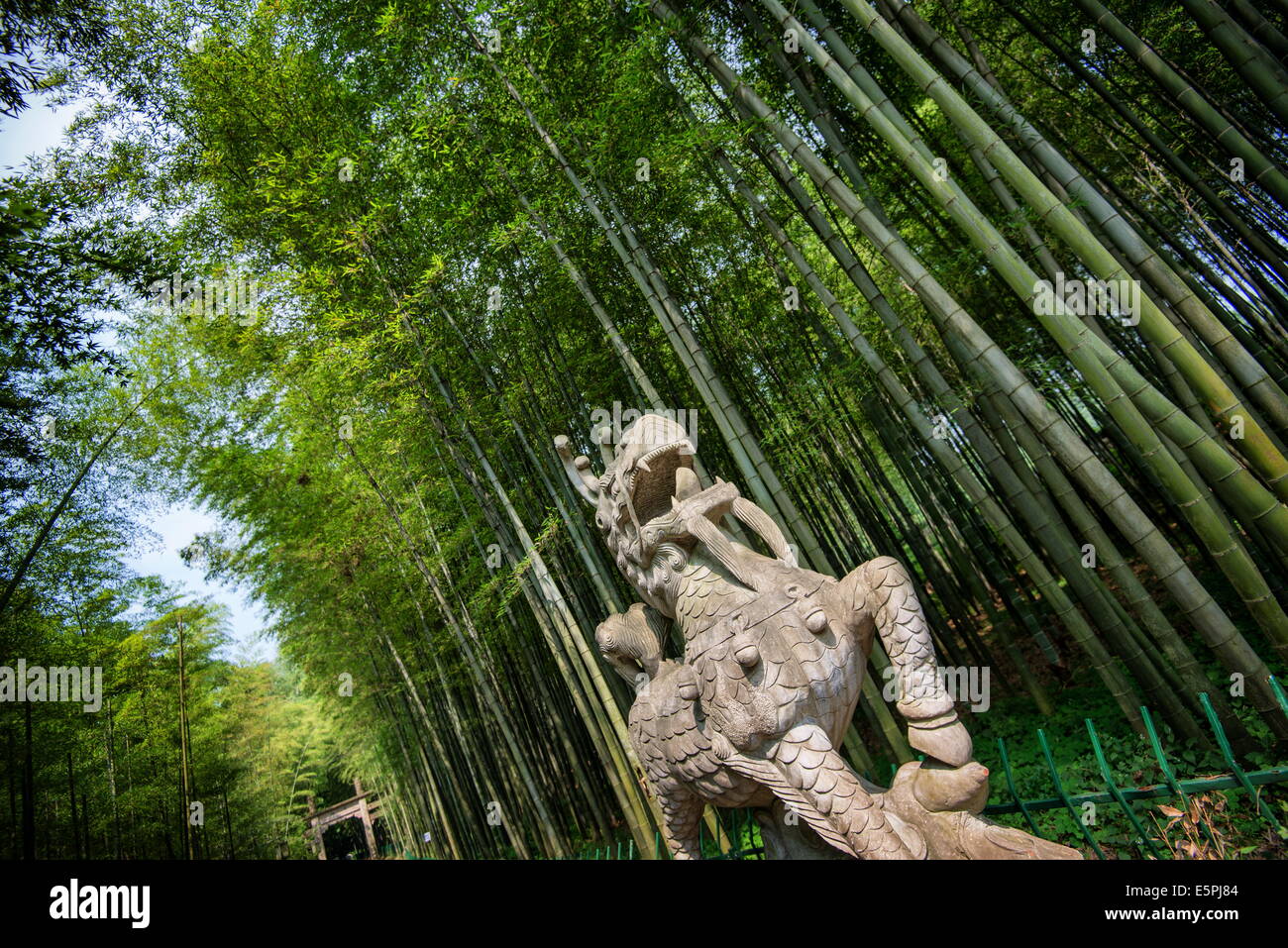 Qi ling hi-res stock photography and images - Alamy