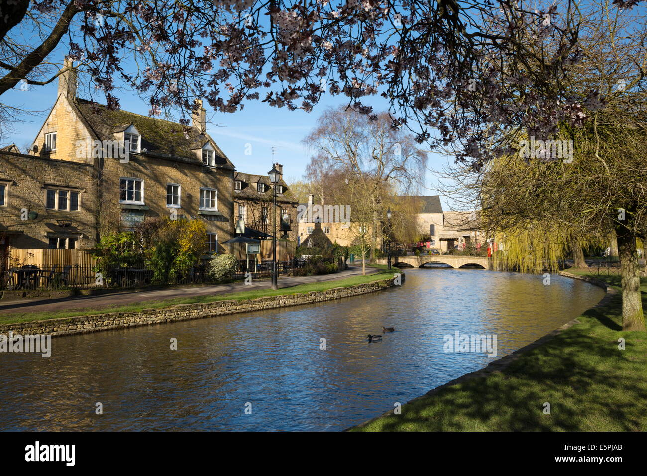 Cotswold stone cottages along the River Windrush, Bourton-on-the-Water, Cotswolds, Gloucestershire, England, United Kingdom Stock Photo