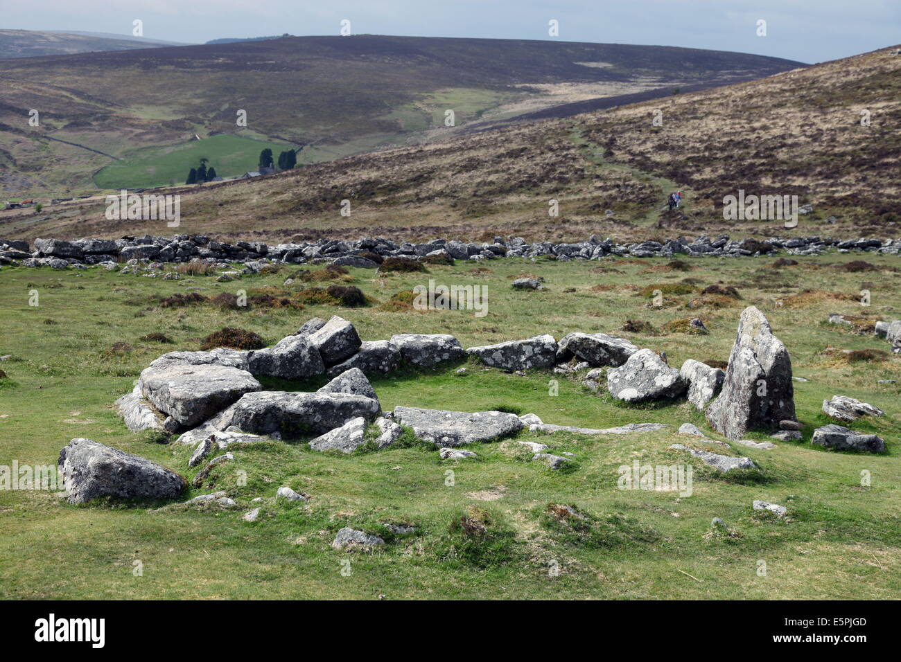 Ruins of early Bronze Age house, about 3500 years old, Grimspound, Dartmoor National Park, Devon, England, United Kingdom Stock Photo