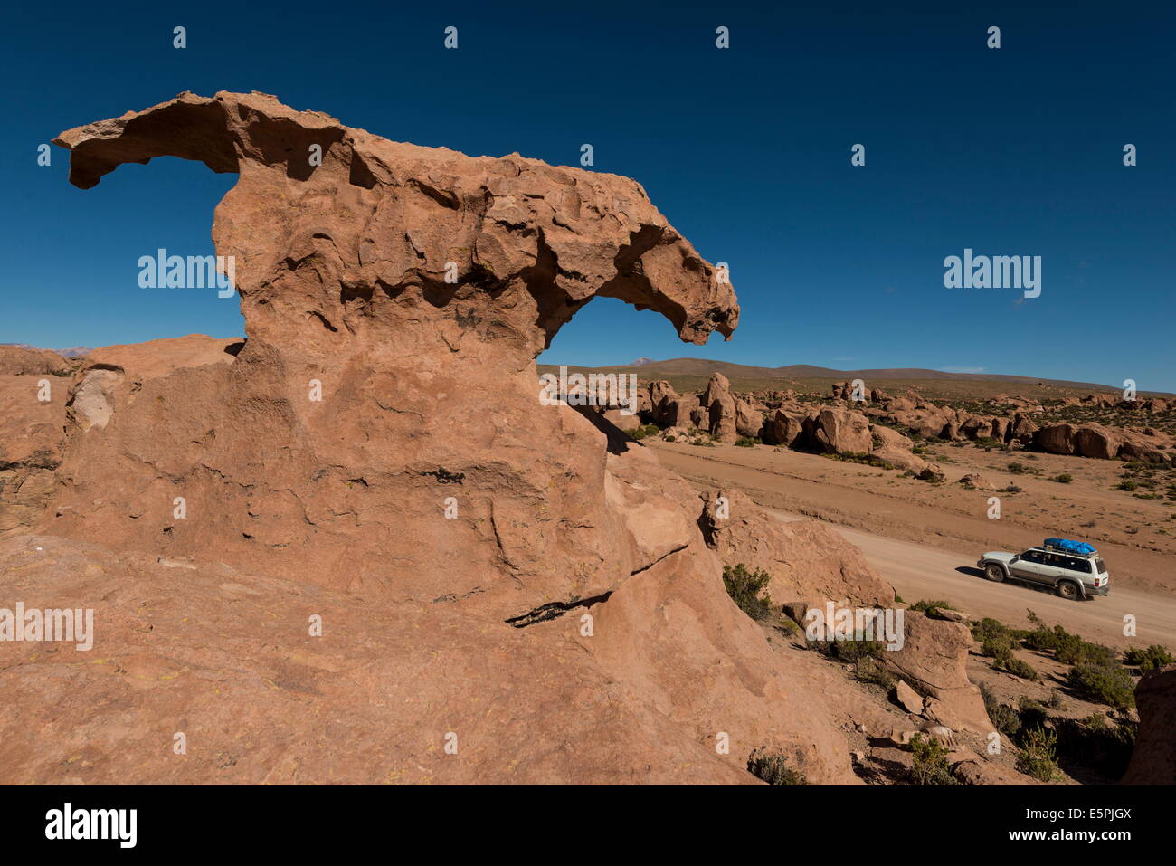 Valley of Rocks, Southern Altiplano, Bolivia, South America Stock Photo
