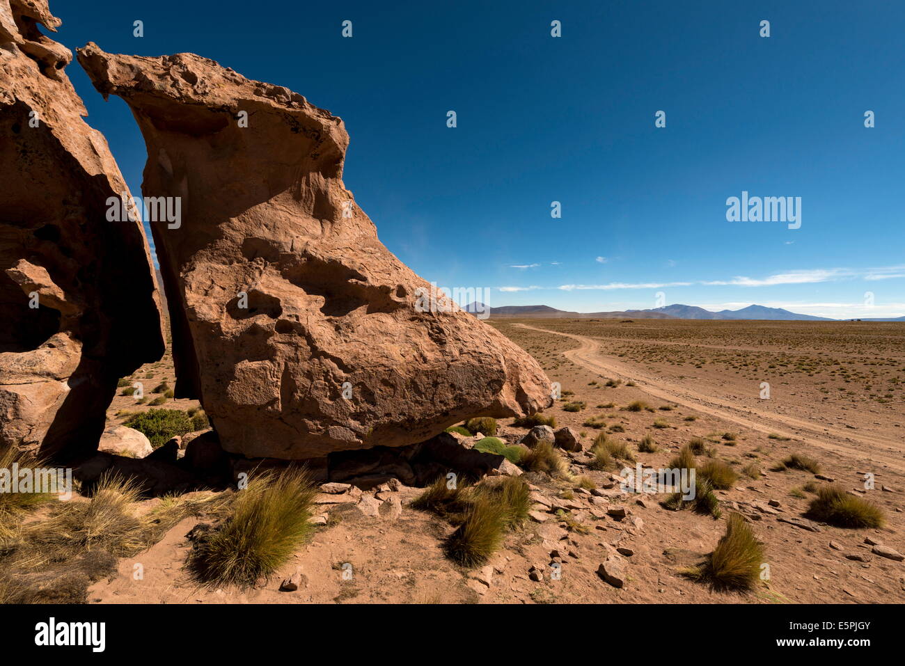 Southern Altiplano, Bolivia, South America Stock Photo
