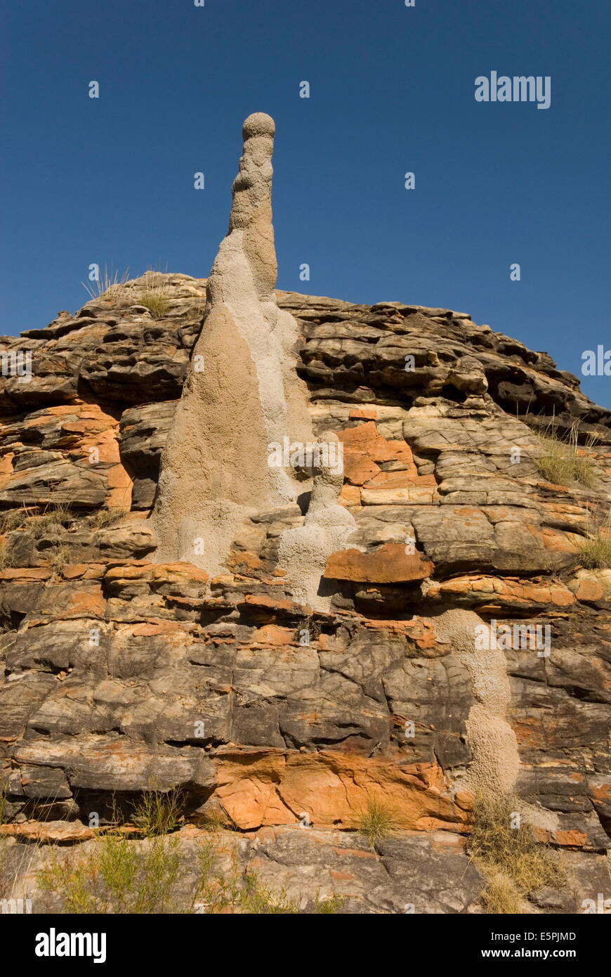 Sandstone hills and termite mounds in The Domes, Purnululu National Park (Bungle Bungle), UNESCO Site, Australia Stock Photo