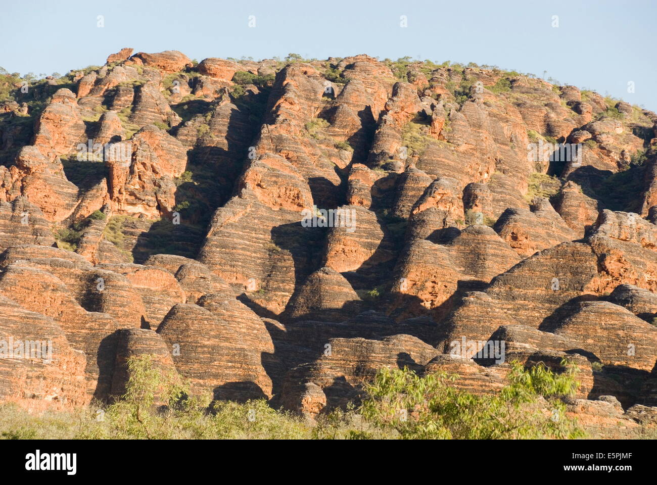 Sandstone hills in The Domes area of Purnululu National Park (Bungle Bungle), UNESCO Site, Western Australia, Australia Stock Photo