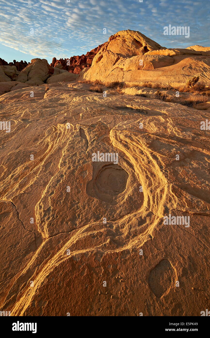 Erosion pattern in yellow sandstone under patterned clouds, Valley of Fire State Park, Nevada, United States of America Stock Photo