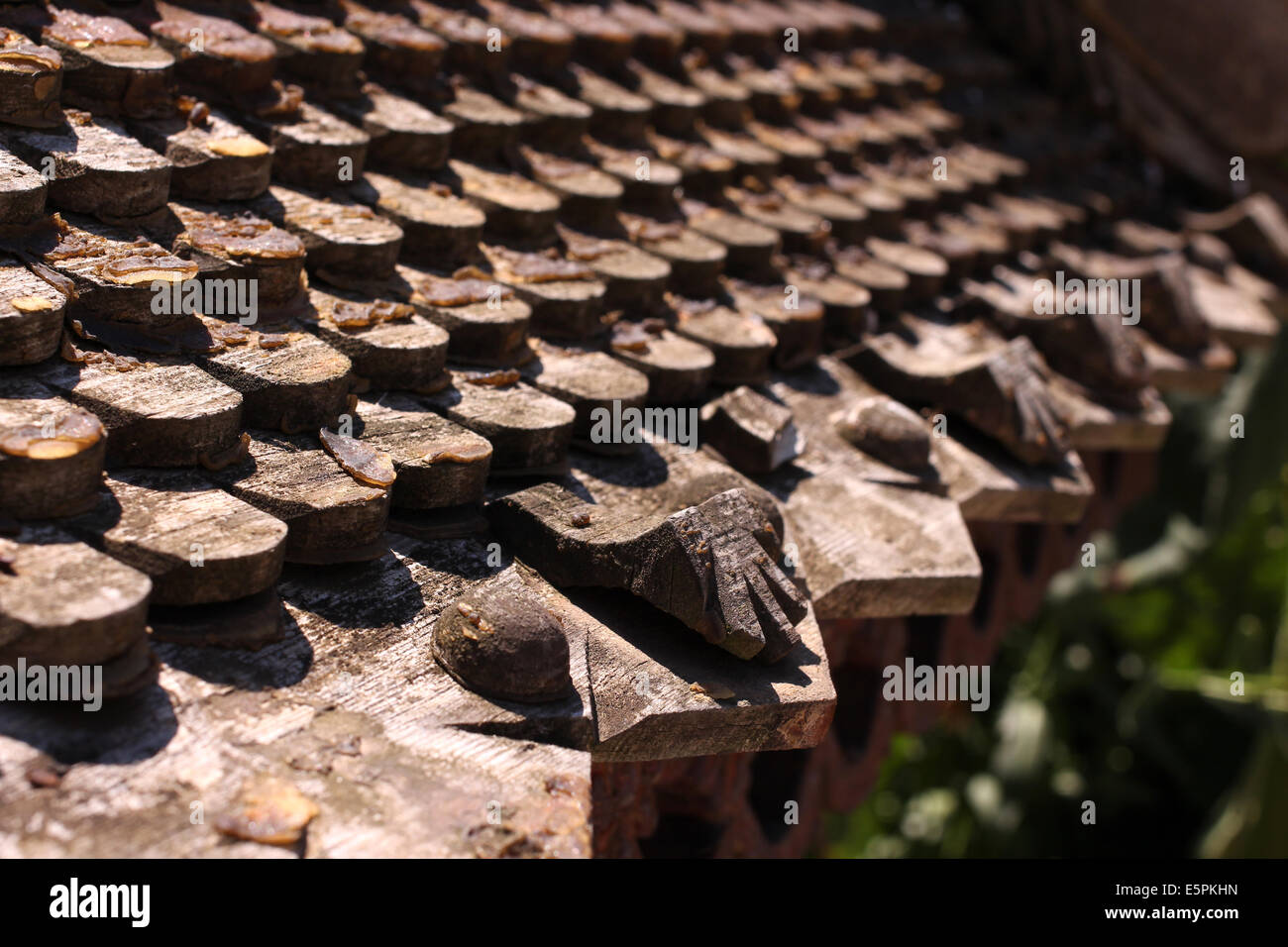 Roof tiles background Stock Photo