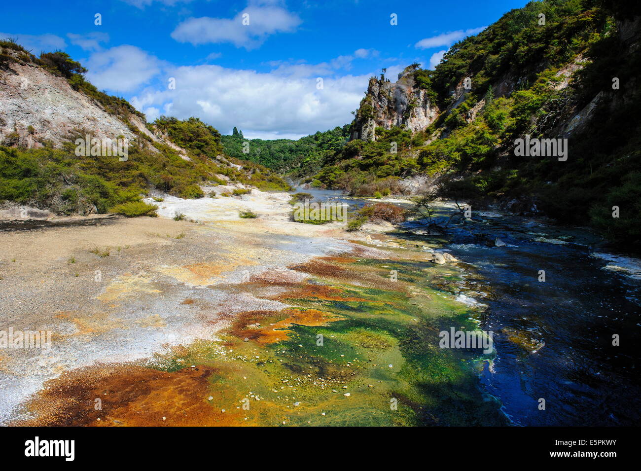 Multi coloured geothermal river in the Waimangu Volcanic Valley, North ...