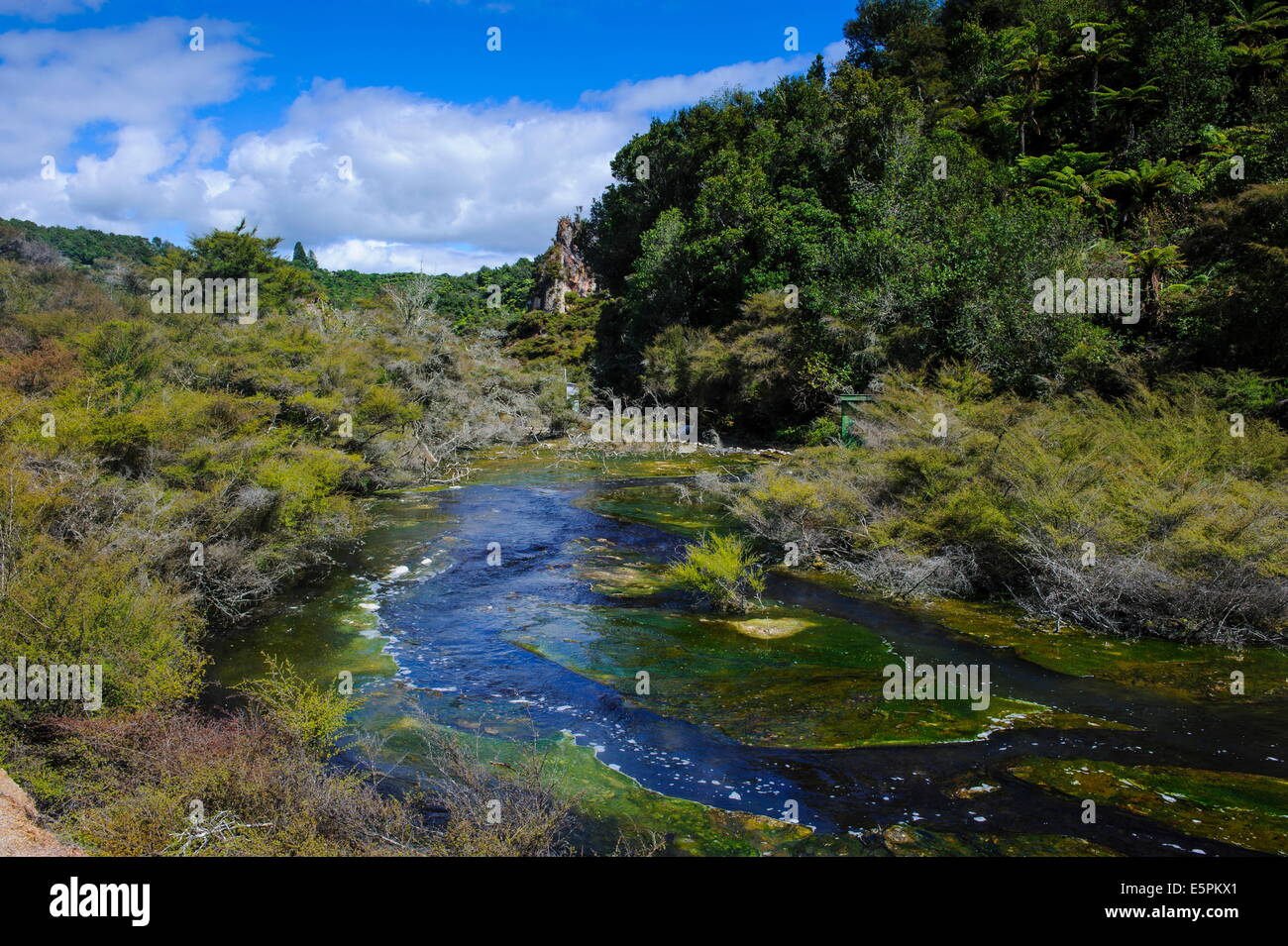 Geothermal river in the Waimangu Volcanic Valley, North Island, New ...