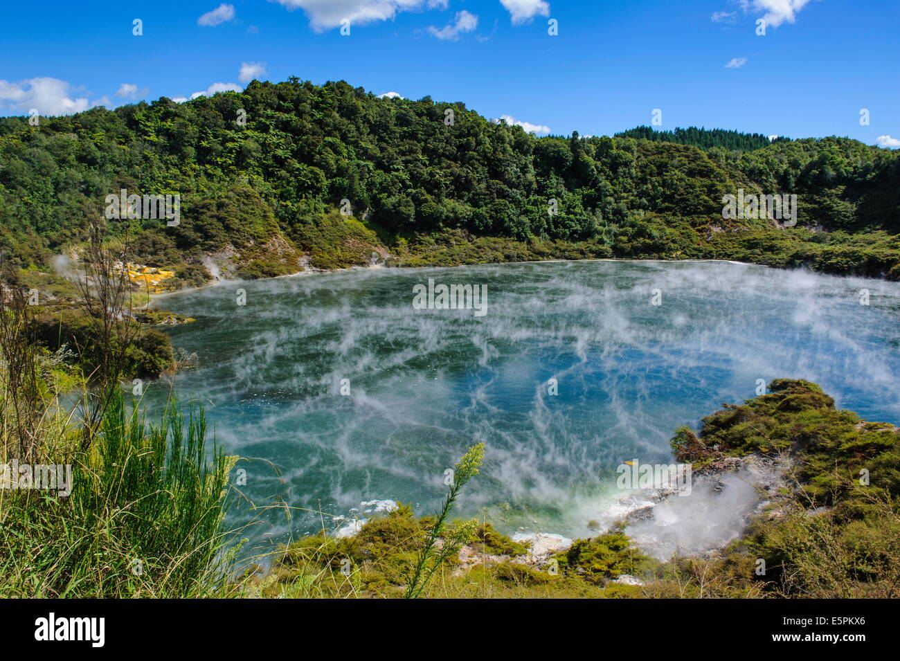 Frying Pan Lake,the largest hot spring in the world, Waimangu Volcanic Valley, North Island, New Zealand, Pacific Stock Photo