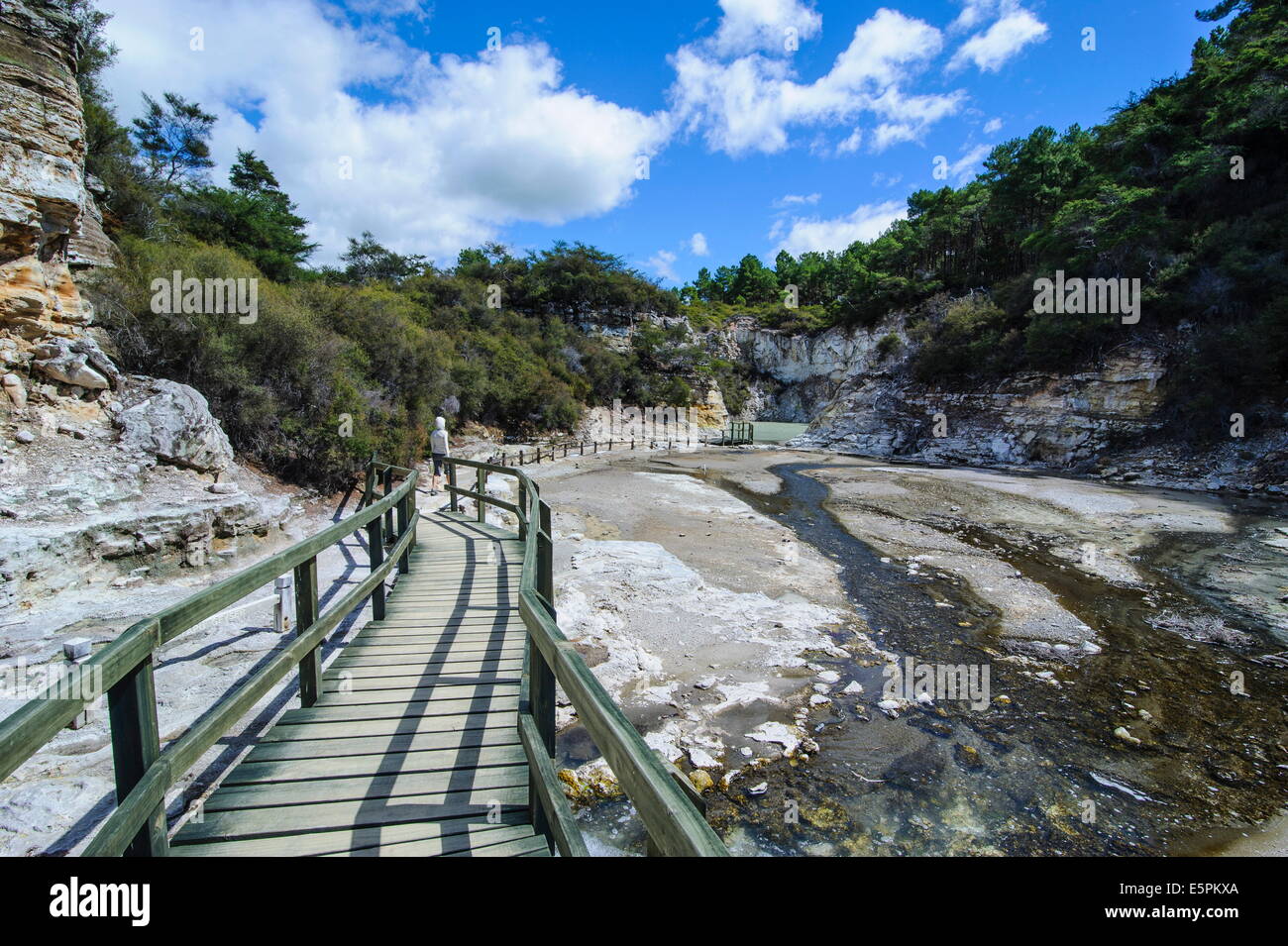 Geothermal volcanic area in the Wai-O-Tapu Thermal Wonderland, Waiotapu, North Island, New Zealand, Pacific Stock Photo