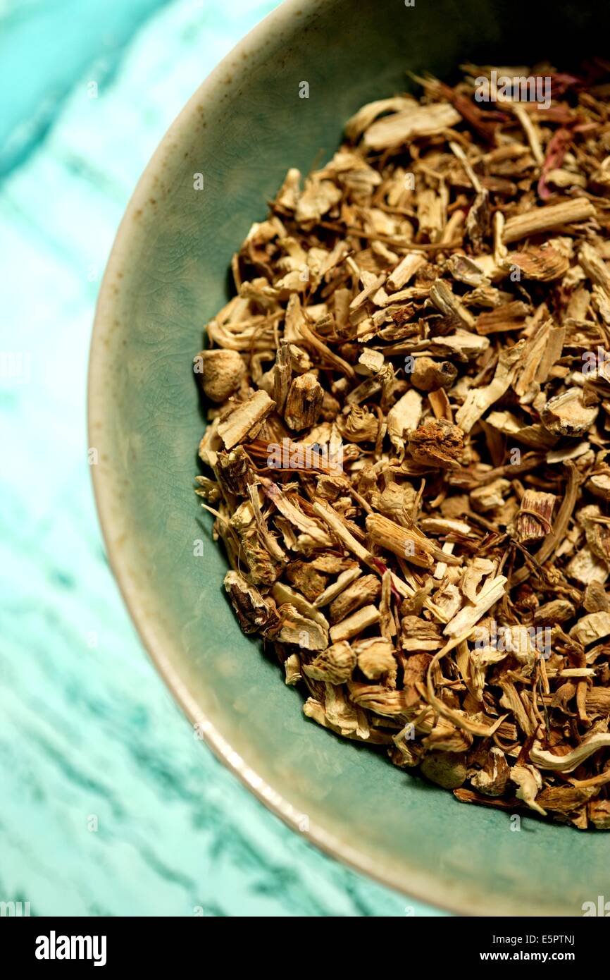 Dry roots of Echinaceae purpurea (purple coneflower Stock Photo Alamy