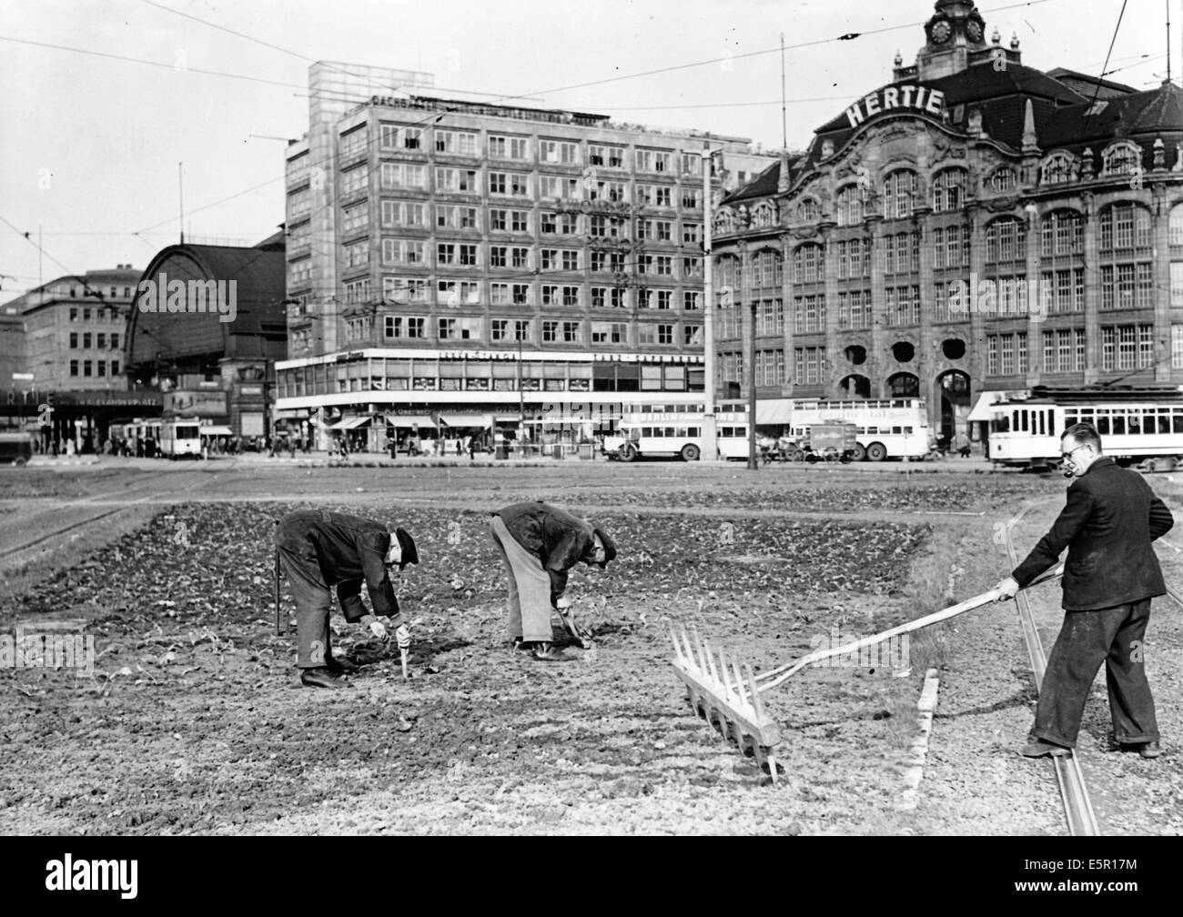 The picture from a Nazi news report shows potatoes and beets being planted by the municipal horticultural department at Alexanderplatz in Berlin, Germany, June 1942. The original text on the back of the picture reads: 'Model vegetable garden on Alexanderplatz in Berlin. In the middle of the Reich's capital, potatoes and beets are being planted by the municipal horticultural department in place of the park at Alexanderplatz. It is more or less a model garden that every fellow German is encouraged to plant on every still unused ground to produce fresh vegetables. Fotoarchiv für Zeitgeschichte Stock Photo