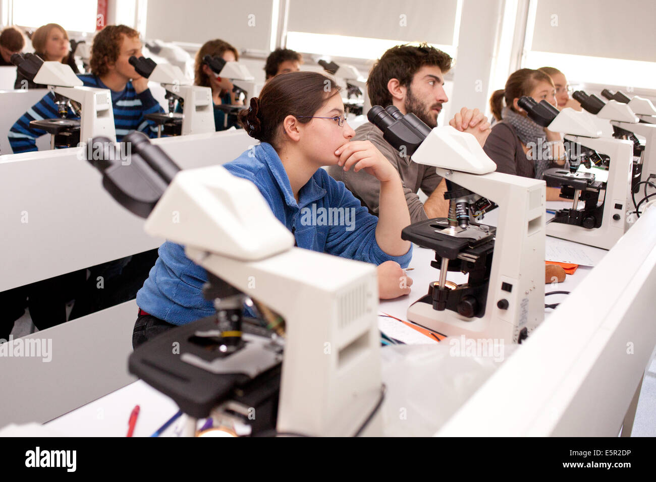 Medical students; Biological and histological tutorials; Faculty of Medicine of Limoges, France. Stock Photo