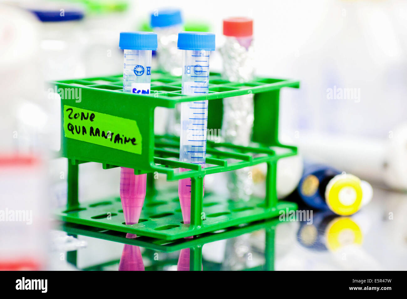 Stem cells research laboratory. Stock Photo