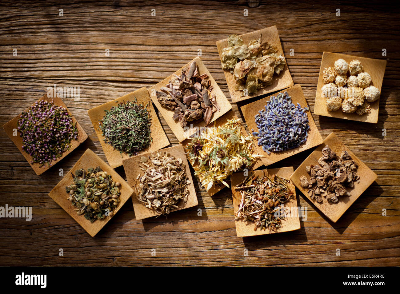 Assorted medicinal plants. Stock Photo