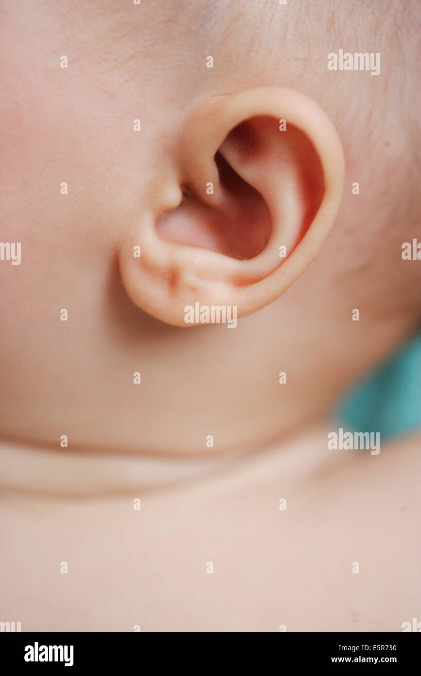 5 month old baby's ear. Stock Photo