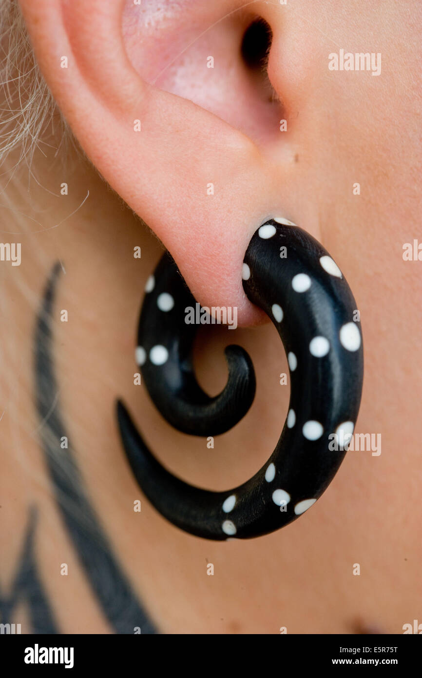 Jewelry for ear piercing and body piercing on white background