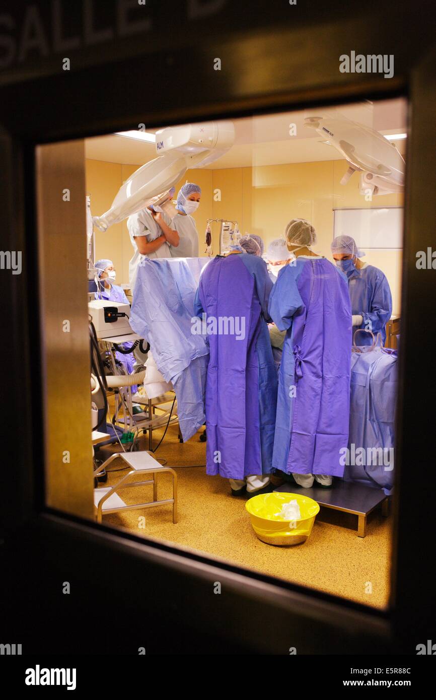 Surgical team in operating theater, Thoracic and Cardiovascular Surgery Department, Limoges hospital, France. Stock Photo