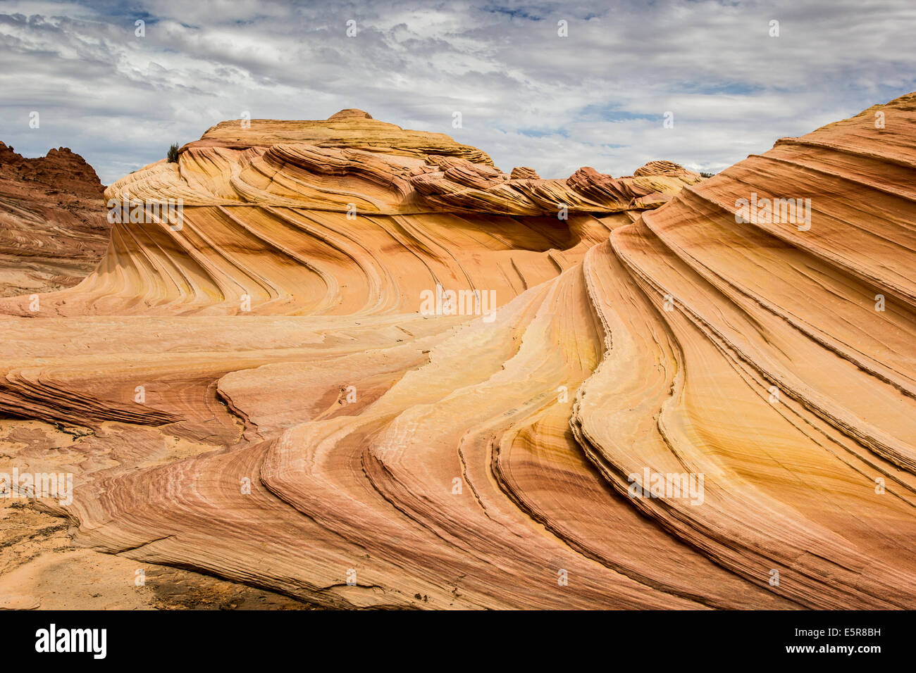 The Second Wave, Arizona, Paria Canyon Coyote Buttes North Stock Photo