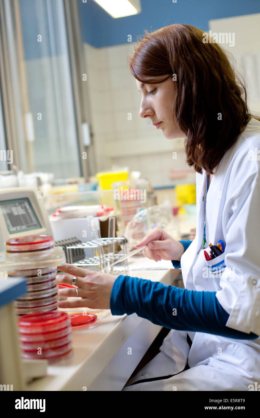 Bacteriology laboratory, Limoges hospital, France Stock Photo Alamy