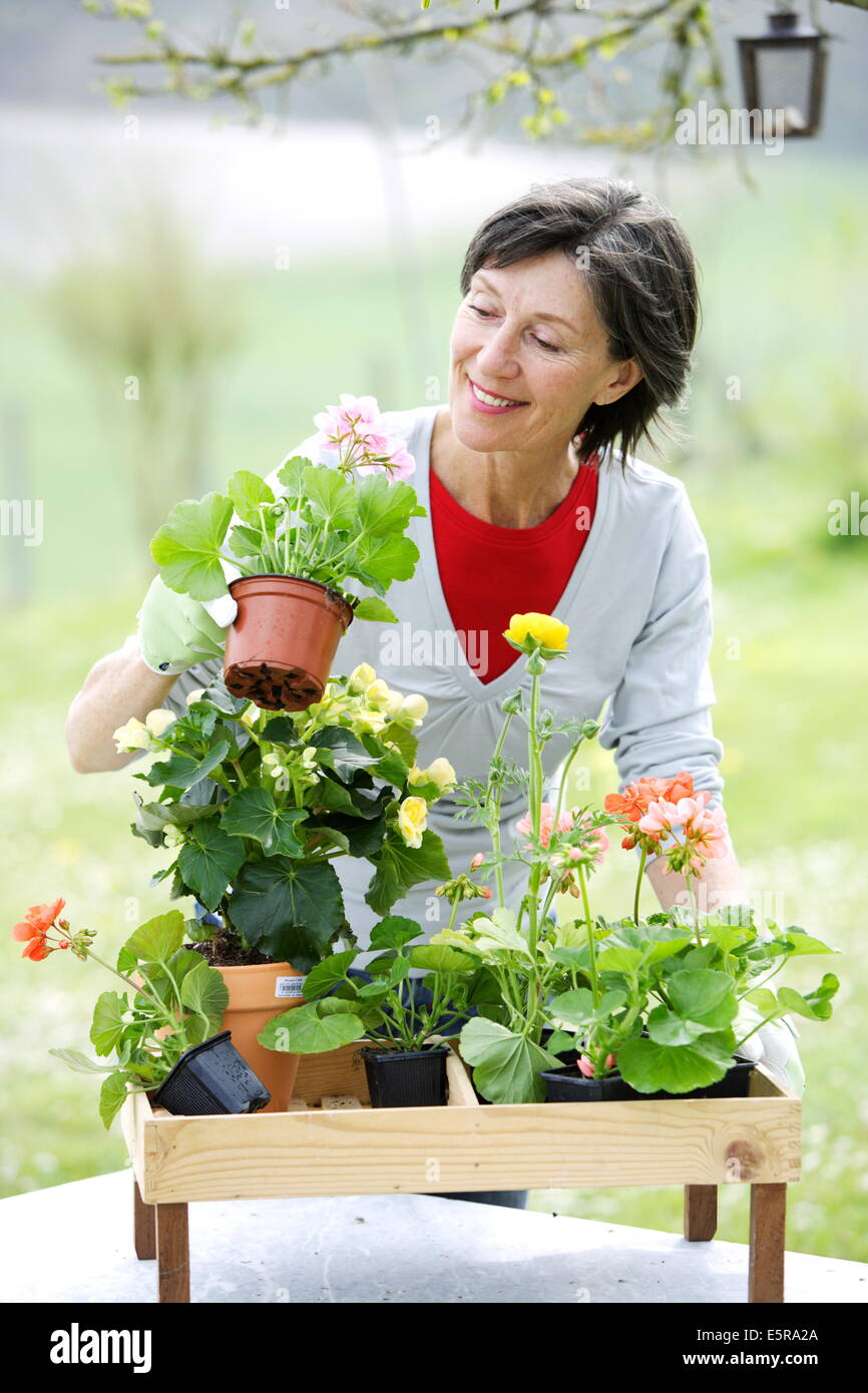Senior woman potting flowers in garden Stock Photo - Alamy