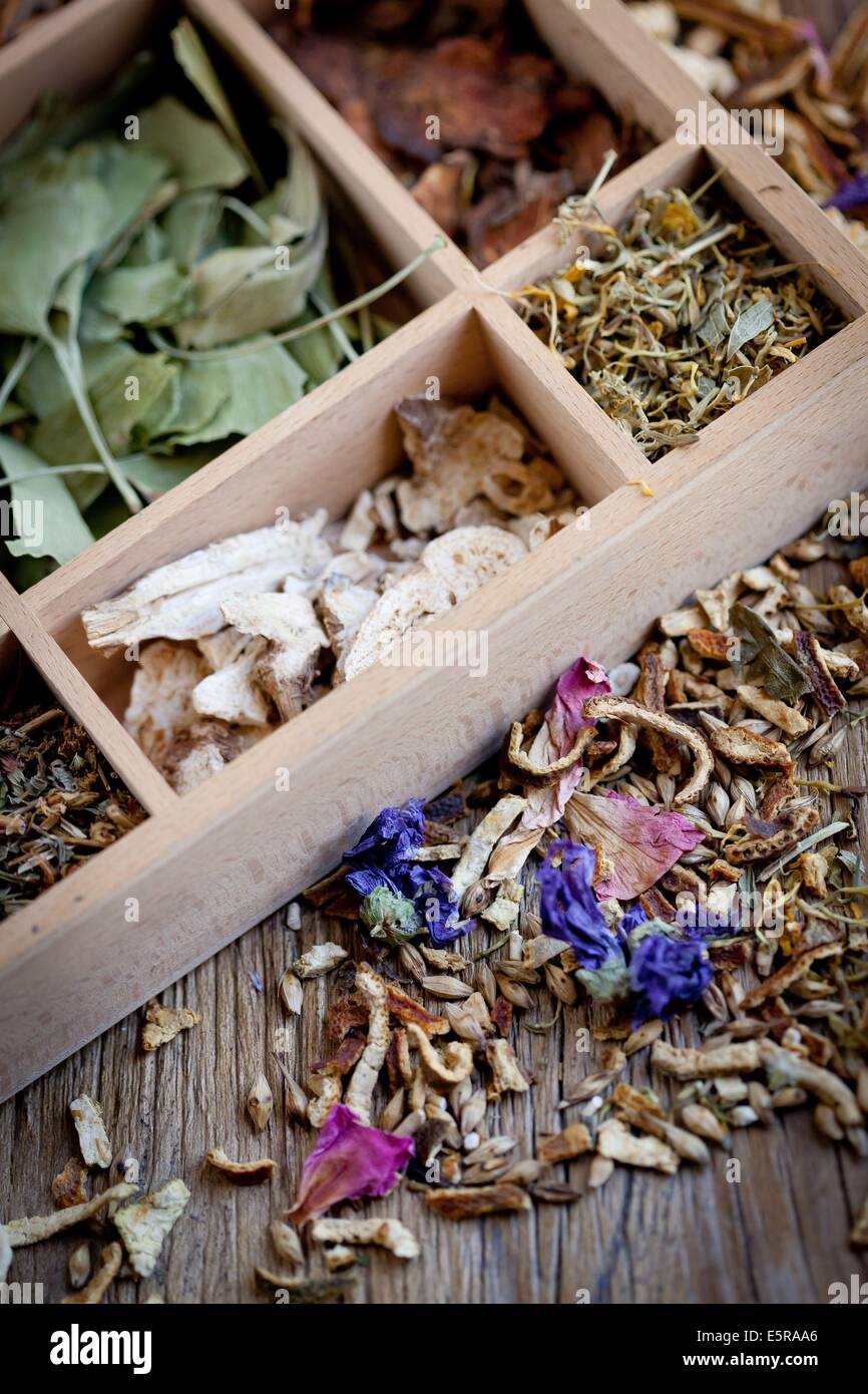 Assorted medicinal plants. Stock Photo