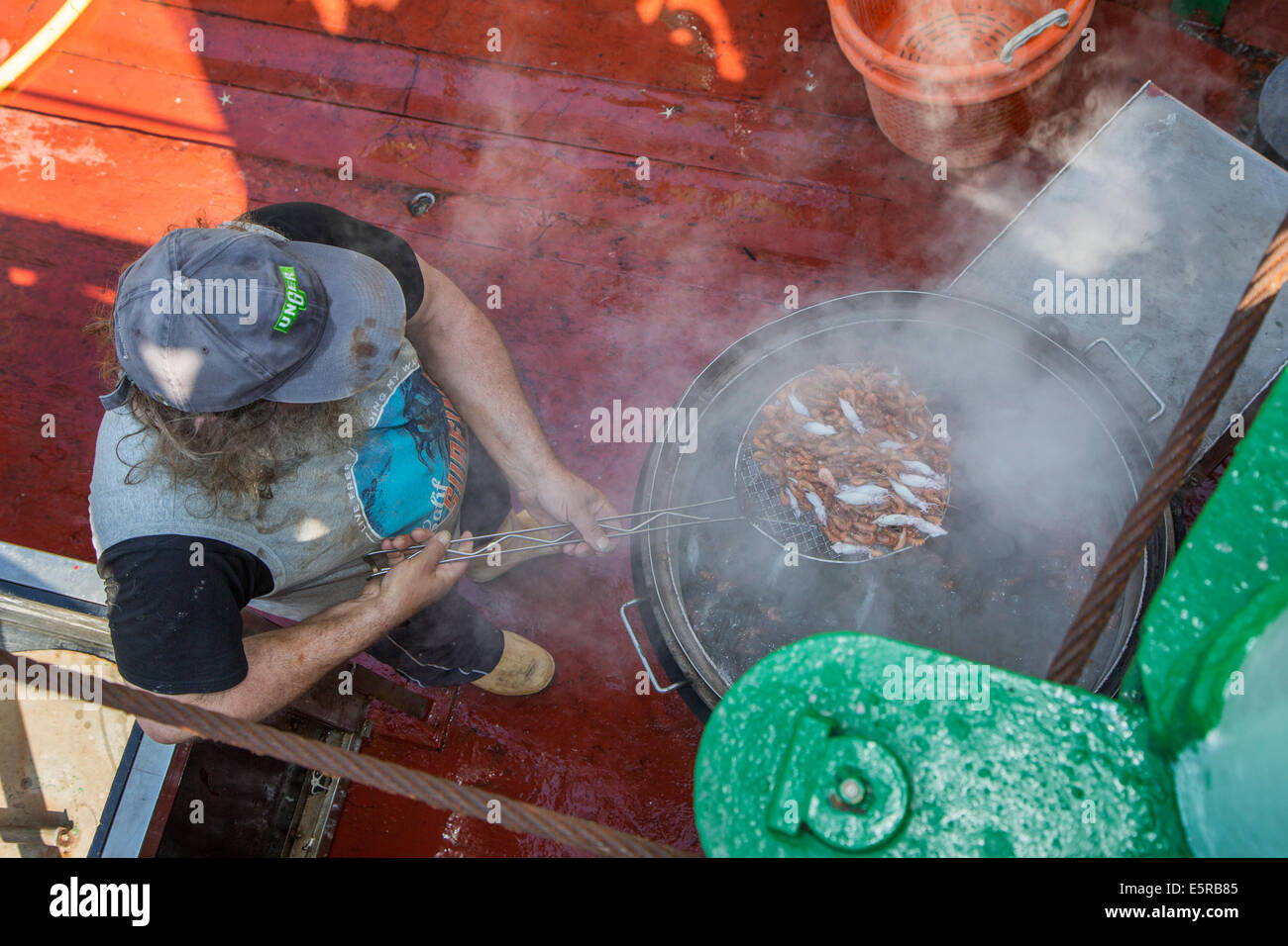 Fisherman boiling shrimps on board of shrimp boat fishing for shrimps on the North Sea Stock Photo