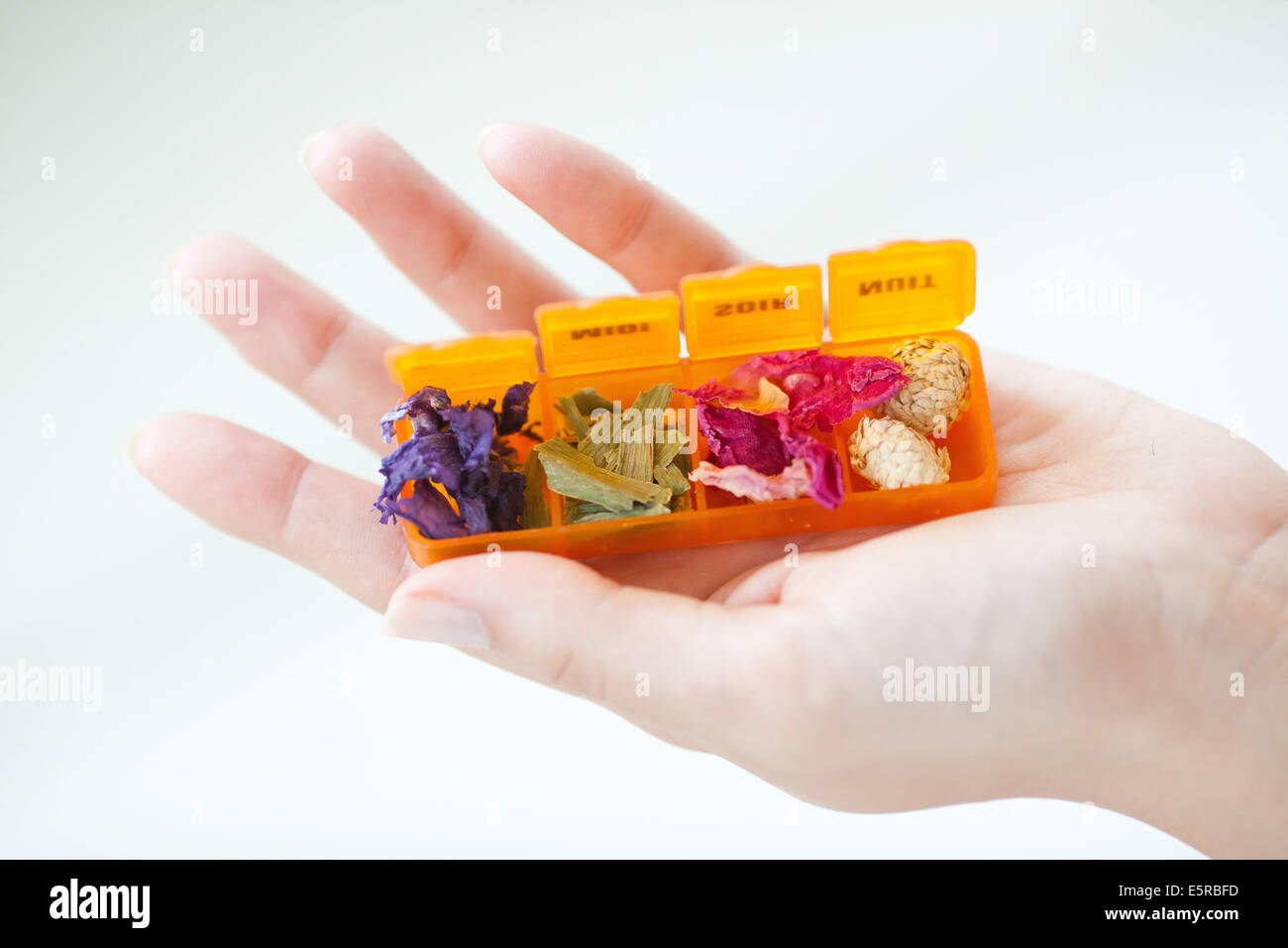 Old medicinal plants hi-res stock photography and images - Alamy